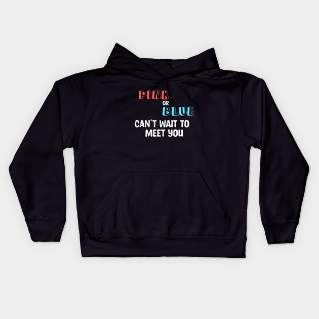 Pink or Blue can't wait to meet you Kids Hoodie by hilu